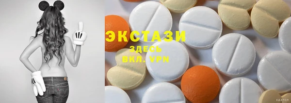 ECSTASY Богданович